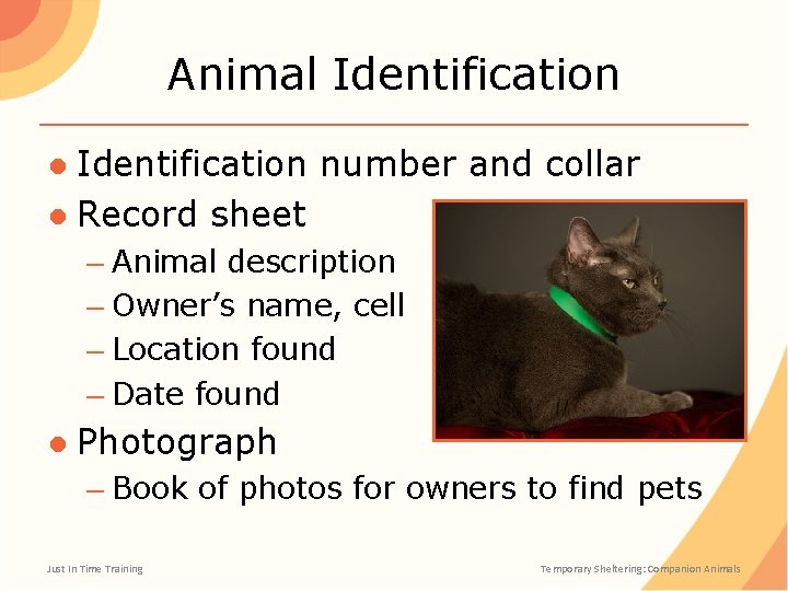 Animal Identification ● Identification number and collar ● Record sheet – Animal description –