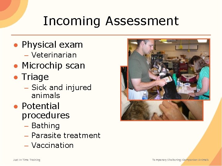 Incoming Assessment ● Physical exam – Veterinarian ● Microchip scan ● Triage – Sick