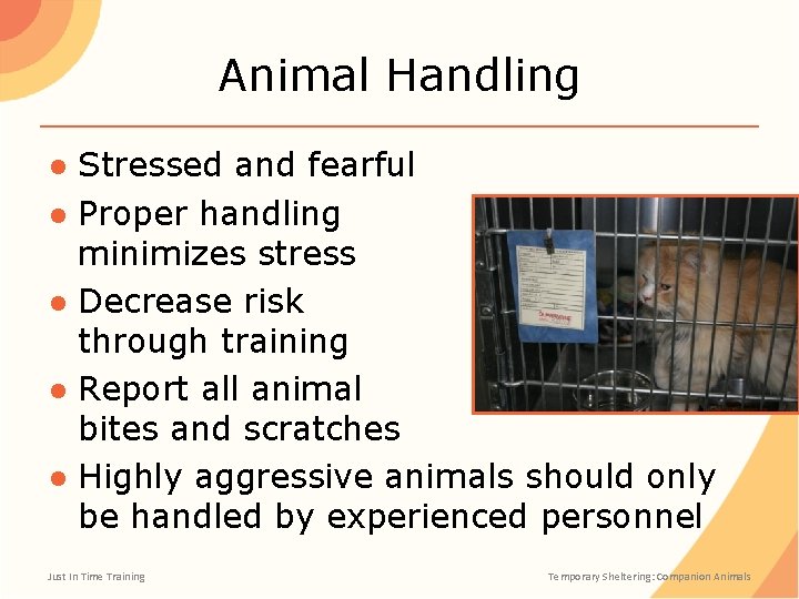 Animal Handling ● Stressed and fearful ● Proper handling minimizes stress ● Decrease risk