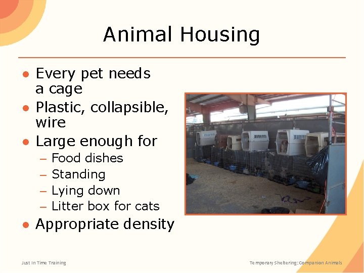 Animal Housing ● Every pet needs a cage ● Plastic, collapsible, wire ● Large