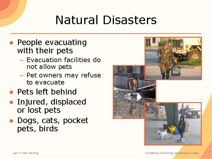 Natural Disasters ● People evacuating with their pets – Evacuation facilities do not allow