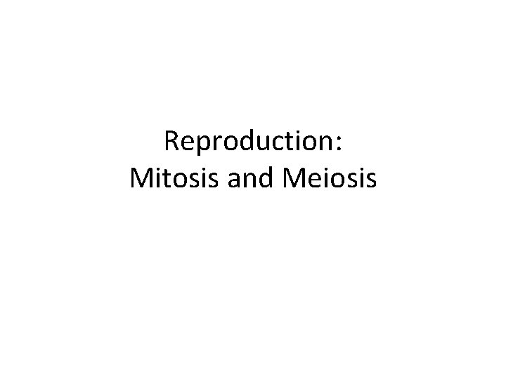 Reproduction: Mitosis and Meiosis 