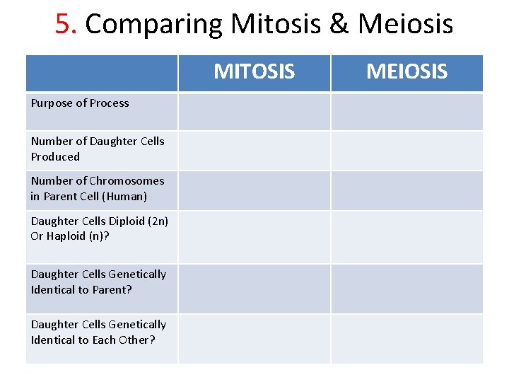 5. Comparing Mitosis & Meiosis MITOSIS Purpose of Process Number of Daughter Cells Produced