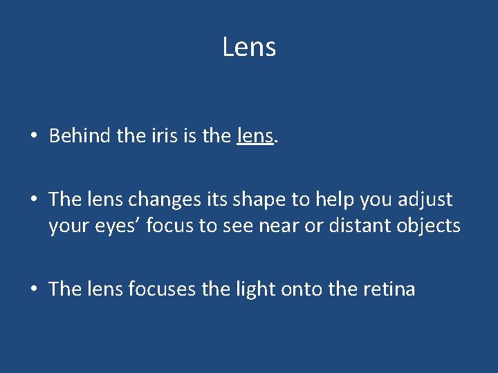 Lens • Behind the iris is the lens. • The lens changes its shape