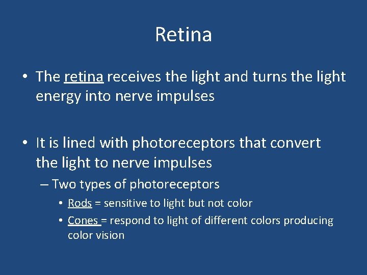 Retina • The retina receives the light and turns the light energy into nerve