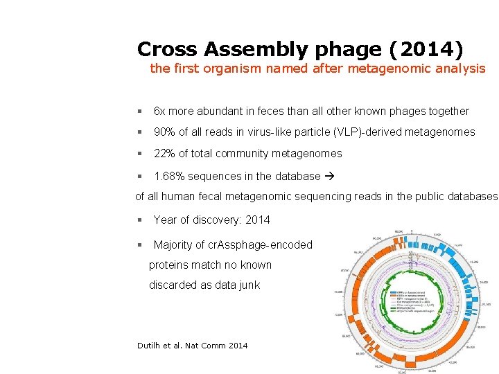 Cross Assembly phage (2014) the first organism named after metagenomic analysis 6 x more