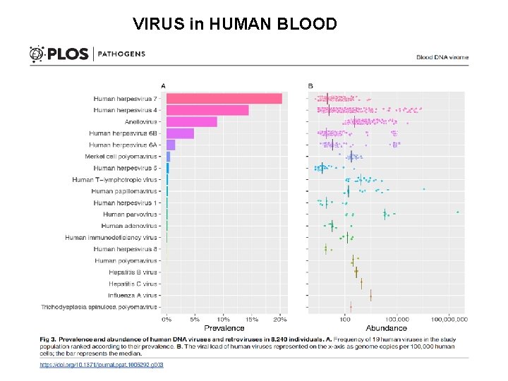 VIRUS in HUMAN BLOOD 