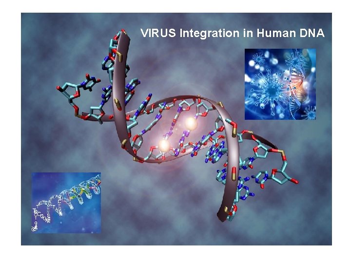 VIRUS Integration in Human DNA 