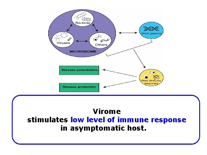 Virome stimulates low level of immune response in asymptomatic host. 