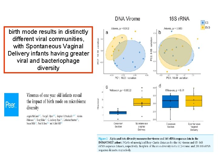 birth mode results in distinctly different viral communities, with Spontaneous Vaginal Delivery infants having