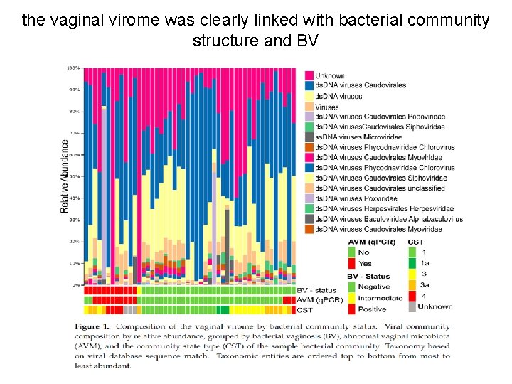 the vaginal virome was clearly linked with bacterial community structure and BV 