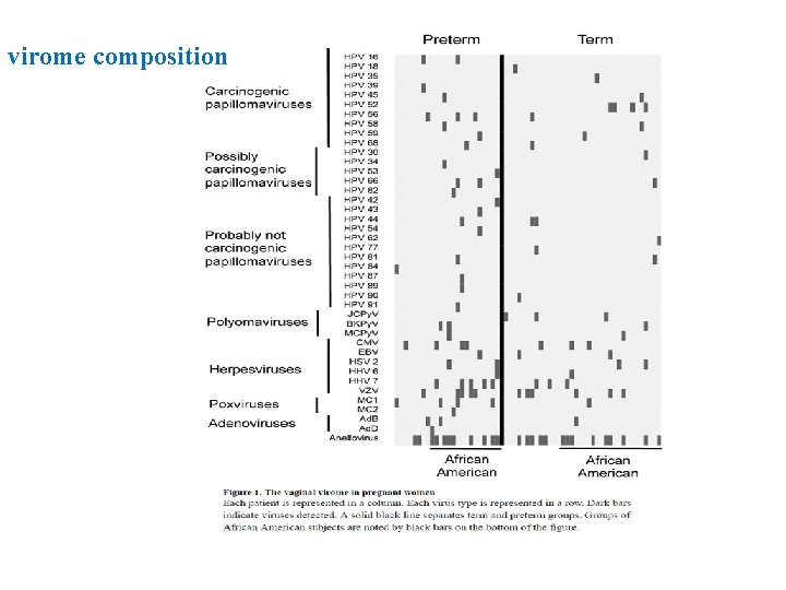 virome composition 