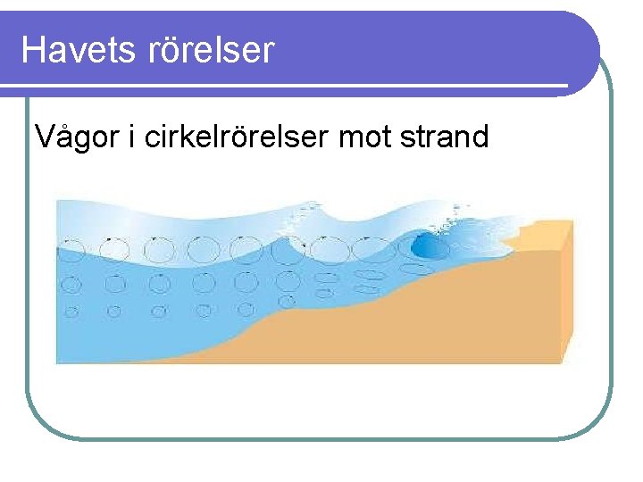 Havets rörelser Vågor i cirkelrörelser mot strand 