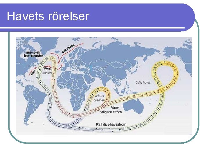 Havets rörelser 