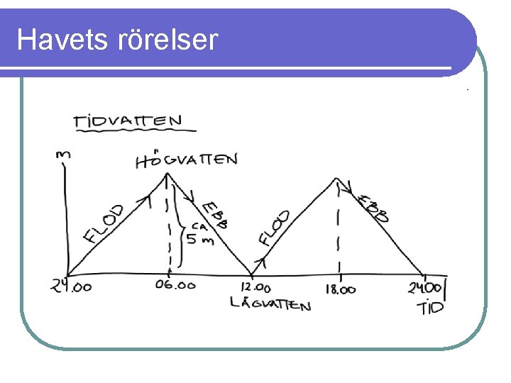 Havets rörelser 
