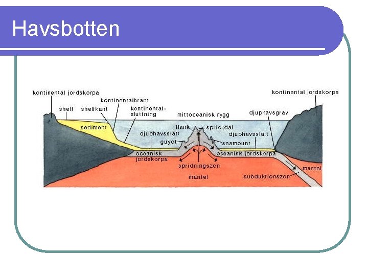 Havsbotten 