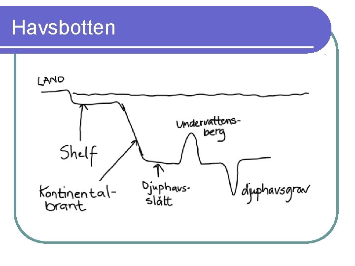 Havsbotten 