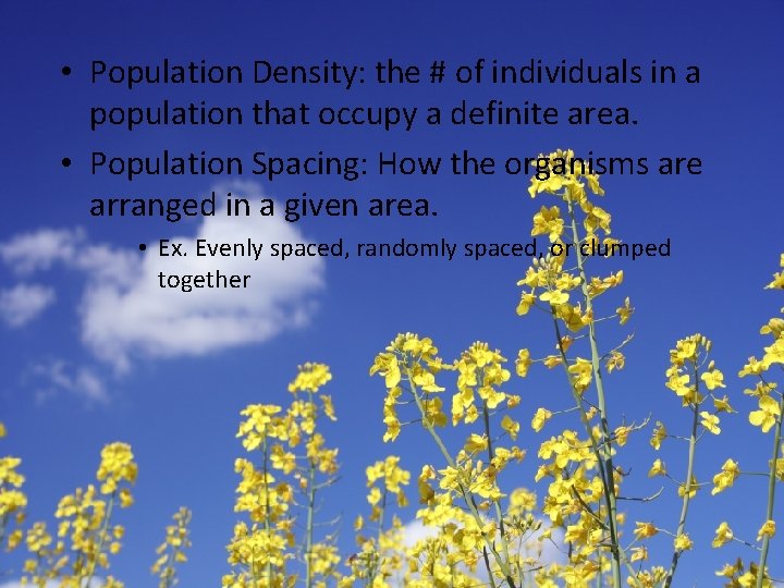  • Population Density: the # of individuals in a population that occupy a