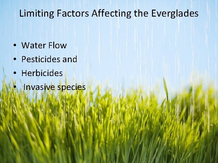 Limiting Factors Affecting the Everglades • • Water Flow Pesticides and Herbicides Invasive species