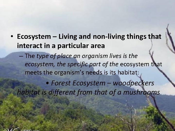  • Ecosystem – Living and non-living things that interact in a particular area