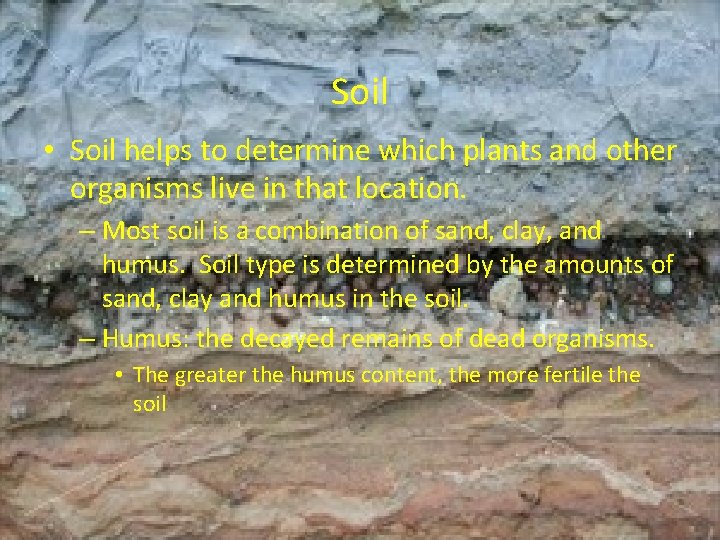 Soil • Soil helps to determine which plants and other organisms live in that