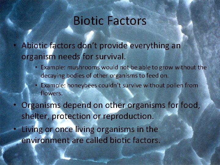 Biotic Factors • Abiotic factors don’t provide everything an organism needs for survival. •