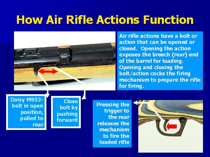 How Air Rifle Actions Function Air rifle actions have a bolt or action that