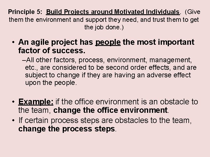 Principle 5: Build Projects around Motivated Individuals. (Give them the environment and support they