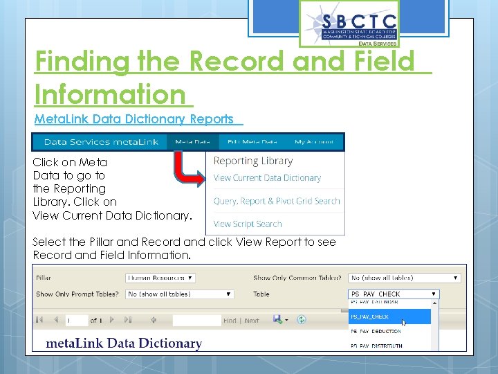 Finding the Record and Field Information Meta. Link Data Dictionary Reports Click on Meta