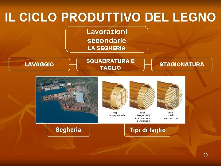 IL CICLO PRODUTTIVO DEL LEGNO Lavorazioni secondarie LA SEGHERIA SQUADRATURA E TAGLIO LAVAGGIO Segheria