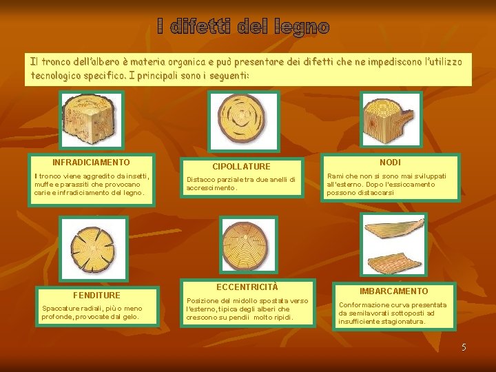 Il tronco dell’albero è materia organica e può presentare dei difetti che ne impediscono