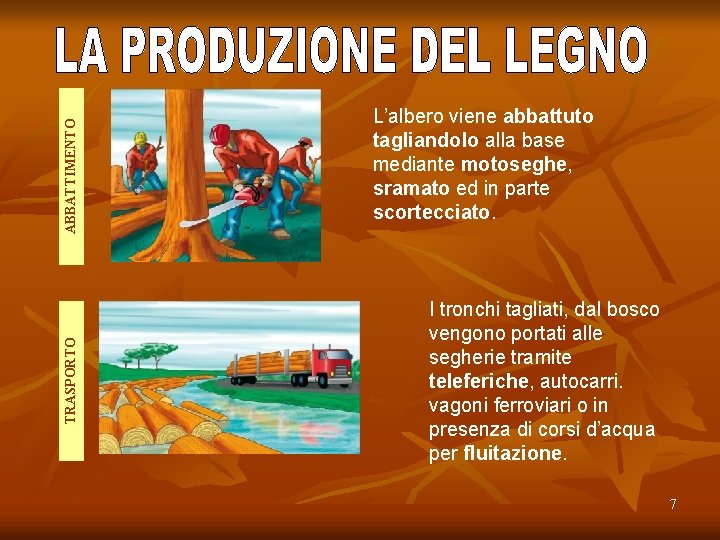 ABBATTIMENTO TRASPORTO L’albero viene abbattuto tagliandolo alla base mediante motoseghe, sramato ed in parte