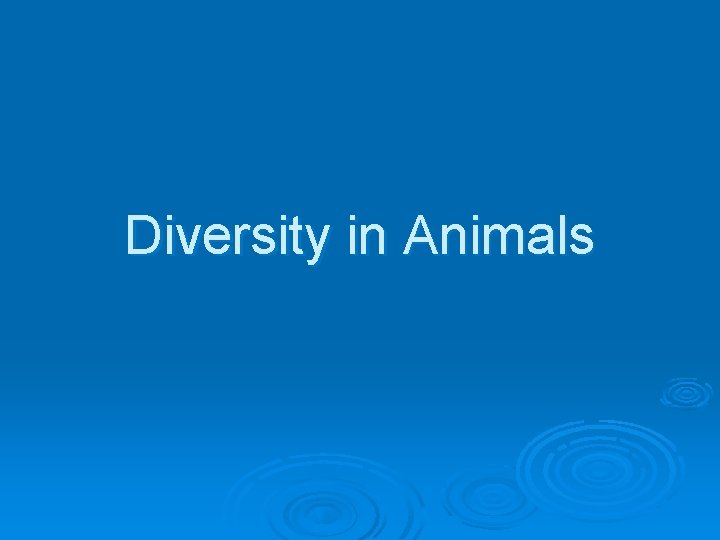 Diversity in Animals 