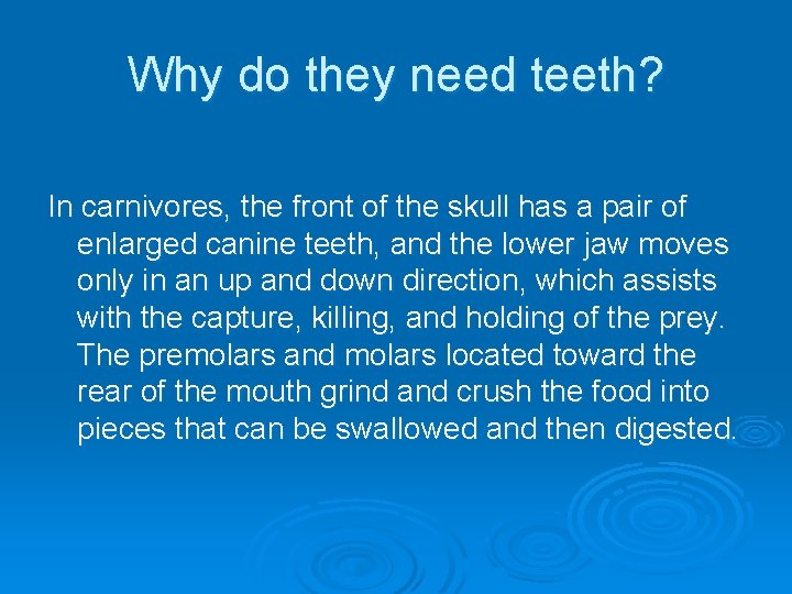 Why do they need teeth? In carnivores, the front of the skull has a