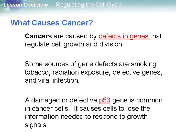 Lesson Overview Regulating the Cell Cycle What Causes Cancer? Cancers are caused by defects