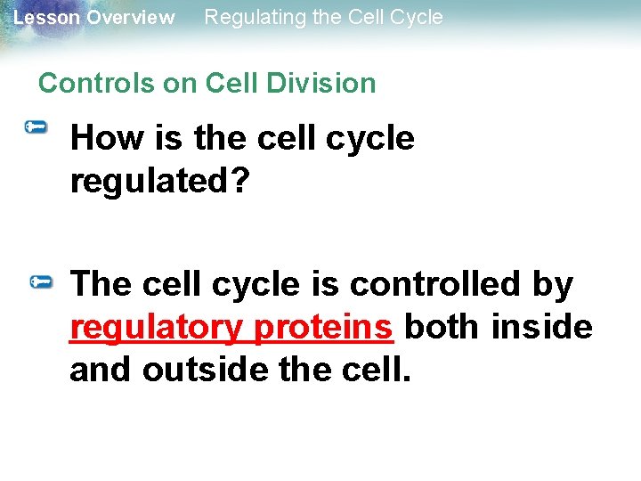 Lesson Overview Regulating the Cell Cycle Controls on Cell Division How is the cell