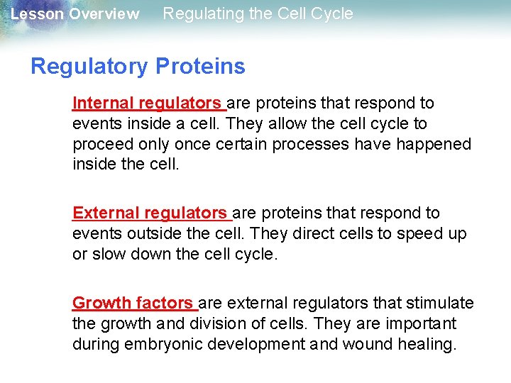 Lesson Overview Regulating the Cell Cycle Regulatory Proteins Internal regulators are proteins that respond