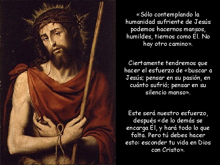  «Sólo contemplando la humanidad sufriente de Jesús podemos hacernos mansos, humildes, tiernos como