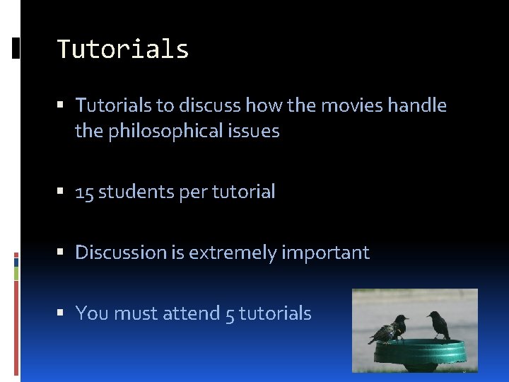 Tutorials to discuss how the movies handle the philosophical issues 15 students per tutorial