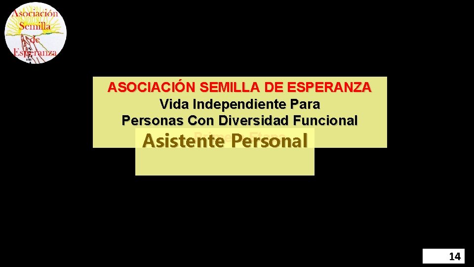 ASOCIACIÓN SEMILLA DE ESPERANZA Vida Independiente Para Personas Con Diversidad Funcional Primera Etapa Asistente