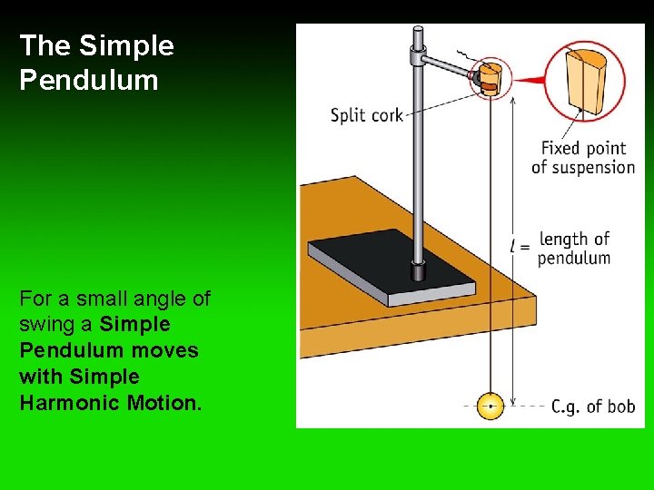 Chapter 13 Simple Harmonic Motion and Hookes Law