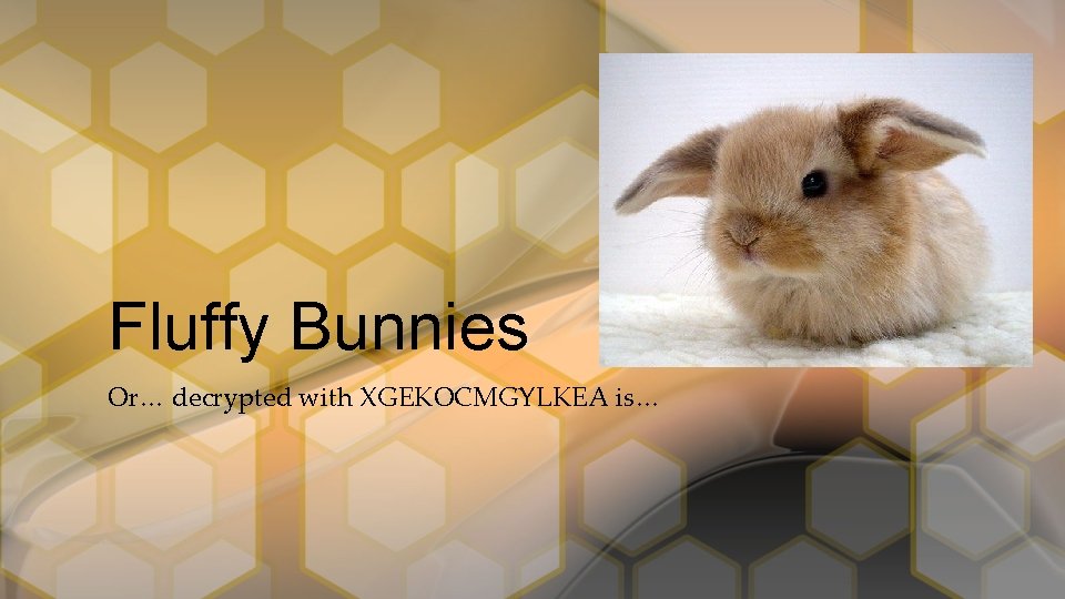 Fluffy Bunnies Or… decrypted with XGEKOCMGYLKEA is… 
