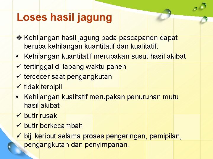 Loses hasil jagung v Kehilangan hasil jagung pada pascapanen dapat berupa kehilangan kuantitatif dan