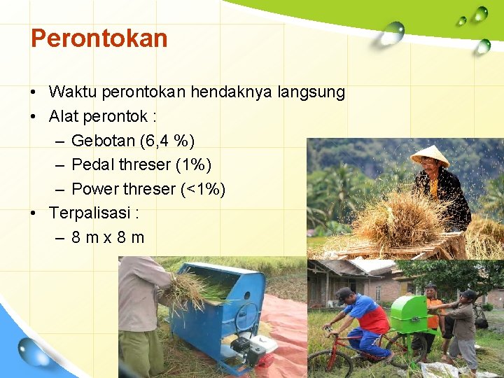 Perontokan • Waktu perontokan hendaknya langsung • Alat perontok : – Gebotan (6, 4