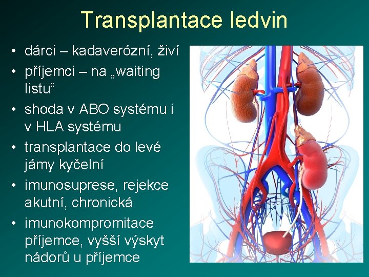 Transplantace ledvin • dárci – kadaverózní, živí • příjemci – na „waiting listu“ •