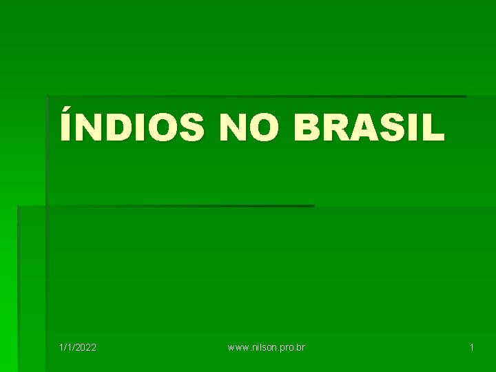 ÍNDIOS NO BRASIL 1/1/2022 www. nilson. pro. br 1 