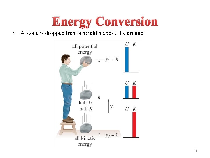 Energy Conversion • A stone is dropped from a height h above the ground