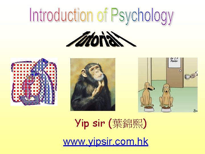 Yip sir (葉錦熙) www. yipsir. com. hk 