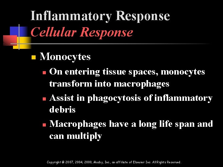 Inflammatory Response Cellular Response n Monocytes On entering tissue spaces, monocytes transform into macrophages Inflammatory Response Cellular Response n Monocytes On entering tissue spaces, monocytes transform into macrophages