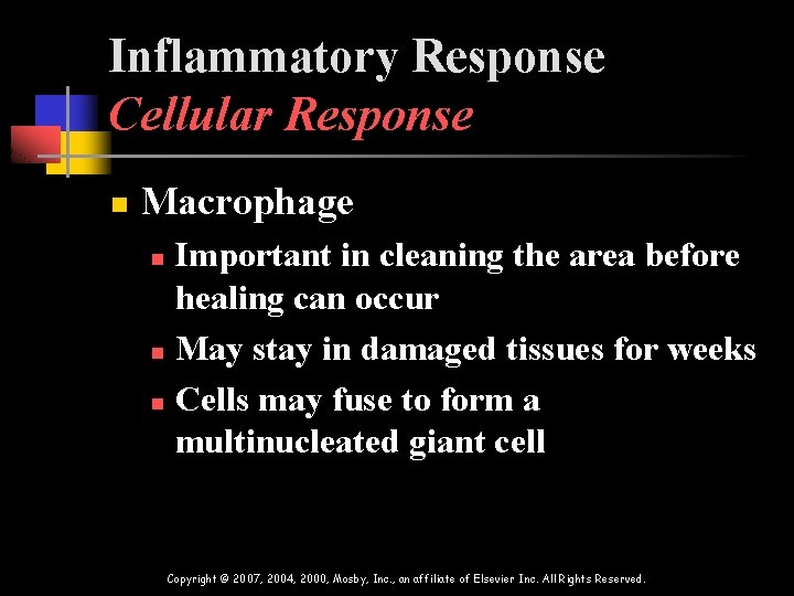 Inflammatory Response Cellular Response n Macrophage Important in cleaning the area before healing can